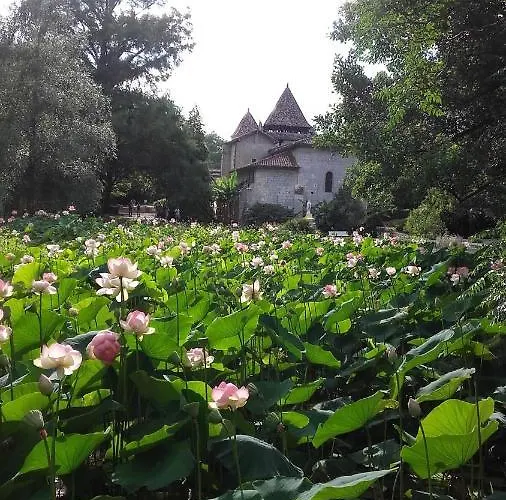 De 24 M2 à Barbotan-minimum 21 Nuits-climatisé #vacances#cure--lac Et Piscine à 1 Km * Cazaubon