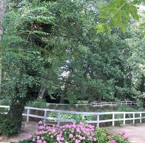 Appartement De 24 M2 à Barbotan-minimum 21 Nuits-climatisé #vacances#cure--lac Et Piscine à 1 Km *