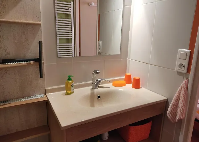 De 24 M2 à Barbotan-minimum 21 Nuits-climatisé #vacances#cure--lac Et Piscine à 1 Km Appartement