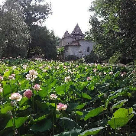 De 24 M2 A Barbotan-minimum 21 Nuits-climatise #vacances#cure--lac Et Piscine A 1 Km * Cazaubon