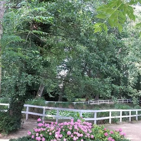 Apartment De 24 M2 A Barbotan-minimum 21 Nuits-climatise #vacances#cure--lac Et Piscine A 1 Km *
